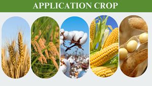 Thiodicarb 75% WP 37.5% SC Pesticida Agroquímico Insecticida para el Control de Plagas - Product Image 5