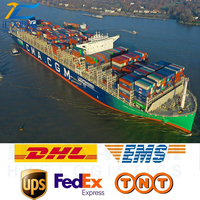Excellent service d'expédition DDP DDU Transport FCL Fret maritime et aérien Agent transitaire Chine vers Vietnam, Maroc, Australie, Moyen-Orient