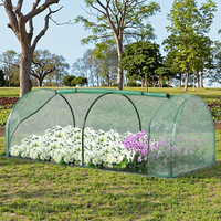 Serre tunnel moderne verte de 200x100x80cm avec cadre en acier et couverture en PE en bois traité naturel pour jardin extérieur