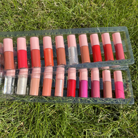 Kit de lèvres 40 couleurs de haute qualité sans logo mini rouge à lèvres mat liquide personnalisé longue durée