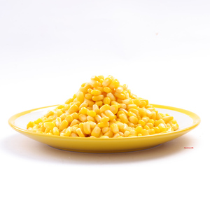 Granos de maíz dulce envasados al vacío de alta calidad ideales para restaurantes y tiendas de jugos sin OGM - Product Image 1