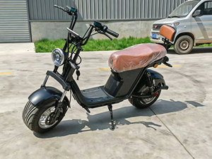 Motocicleta de 1000W con Marco de Acero, Batería de Litio, Frenos de Disco, Resistente al Agua, Control por Aplicación, Sistema Antirrobo, 32 km/h - Product Image 1