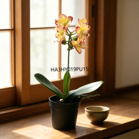 Anggrek Phalaenopsis Fuchsia Mini 8 Kepala Buatan dalam Pot Plastik Hitam, Tahan Lama, Sentuhan Realistis, Tanaman Bunga Palsu untuk Dekorasi Rumah