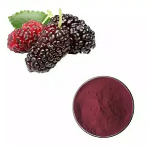 Herbspirit Supply Organic Spray Freeze Dried Mulberry Fruit Powder