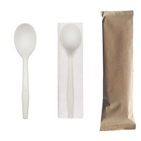 Cuillères hygiéniques, durables et compostables, vaisselle, couverts en matériau CPLA, résistantes à la chaleur pour la restauration de plats chauds