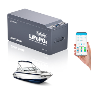 Xe nâng pin <span class=keywords><strong>lithium</strong></span> 48 V LiFePO4 pin Ion 36V sắt Phosphate LFP 24V <span class=keywords><strong>100Ah</strong></span> 12V 200AH 280ah 300ah 150AH 48 <span class=keywords><strong>Volt</strong></span> 50Ah - Product Image 1