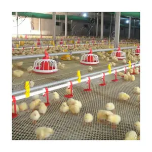 High Quality Automatic Broiler Chicken Farming Equipment For Poultry House