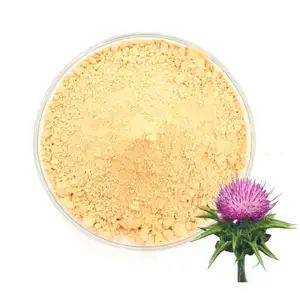 Wholesale Milk Thistle Extract Powder 80% Silymarin Powder Silybum Marianum Extract