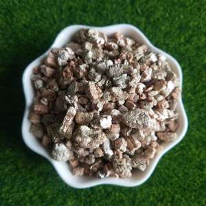 Venta Directa de Fábrica: Plántulas para Cultivo, Esquejes Hortícolas de Nivel de Exportación, <span class=keywords><strong>Vermiculita</strong></span> y <span class=keywords><strong>Vermiculita</strong></span> Expandida - Product Image 6