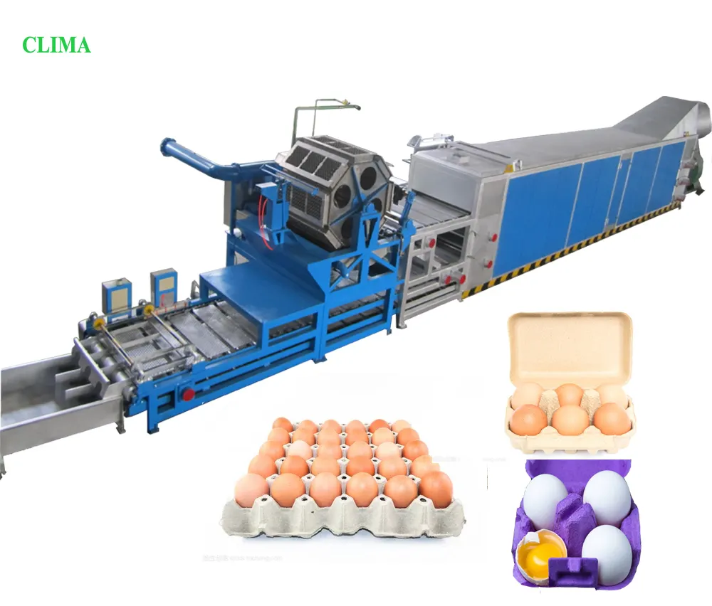 Машина для производства бумажных стаканчиков для малого бизнеса, автоматическая машина для изготовления лотков для яиц