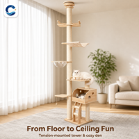 Arbre à chat en bois massif du sol au plafond, tour haute pour chat avec grande capsule spatiale, lit suspendu pour chat, finition bois clair naturel