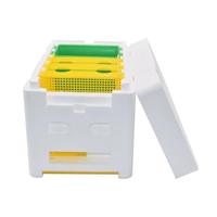 Matériel d'apiculture Vente en gros Haute qualité EPS Mini Queen Bee Boîte d'accouplement Ruches pour l'élevage des reines