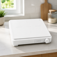 Plaque chauffante électrique portable à induction simple 2000W, 10 niveaux de chauffage, fonction chauffage basse température, panneau en verre Microlite