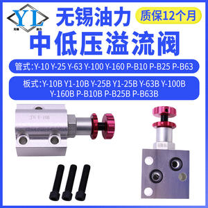 Soupape de décharge hydraulique basse pression P-B10B/B25B/B63B Plaque de tuyauterie Y1/Y-10B/25B/63B/100 Soupape - Product Image 2