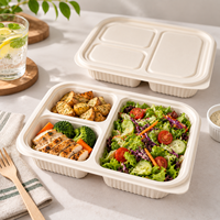 Bentobox 2 3 4 5 6 compartimenten, rechtstreeks van de fabriek, lunchbox voor catering, schoolmaaltijden en picknick