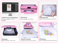 Haolic Livraison gratuite Machine DTF numérique Imprimante de bureau A3 PET Film 13 pouces DTF Imprimante Bundle avec four pour tout textile