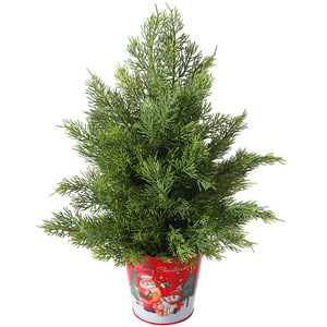 Albero di <span class=keywords><strong>Natale</strong></span> Artificiale 45cm in PE con Foglie di Cipresso, Base in Ferro, Mini Albero da Tavolo <span class=keywords><strong>per</strong></span> Decorazione Casa, Regalo Natalizio OEM - Product Image 5
