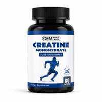 OEM Marque Privée Capsules de Créatine Monohydrate Micronisée 60 Pièces 3g par Portion pour Force et Performance