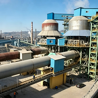Four rotatif économique de petite taille pour le calcaire et le charbon actif, avec une capacité de traitement quotidienne de 1000 tonnes