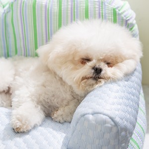 Surepawzy Waterproof Breathable Double Sided Pet Sofa Bed <strong>Dog</strong> <strong>House</strong> for Small <strong>Dogs</strong> &amp; Cats Indoor Use Wholesale - Product Image 4