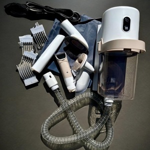USA DDP spedizione gratuita a basso rumore 11000Pa cucciolo elettrico spazzola pettine gatto cane rimozione peli <span class=keywords><strong>Pet</strong></span> toelettatura kit aspirapolvere - Product Image 2