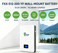 Batterie LiFePO4 murale intégrée avec BMS 51.2V 200Ah 10.24kWh IP21 6000 cycles Port de communication pour la sauvegarde solaire résidentielle