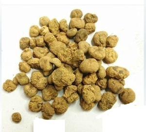 Экстракт корневого корневища тетрагидропальматина по заводской цене - Product Image 4