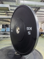 Équipement d'exercice d'haltères de gymnastique de nouveau style personnalisé ensembles de plaques de poids en caoutchouc standard pour la vente en gros