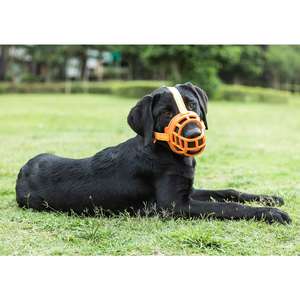 소형 중형 대형견을 위한 통기성 나일론 개 총구 물림 방지 짖음 방지 조절 가능한 탈출 방지 - Product Image 2