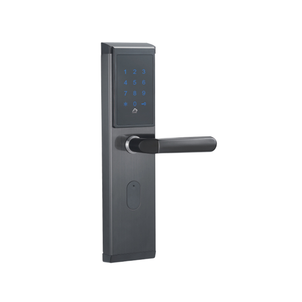 Modern Intelligent Brass Zinc Alloy Door Handle Fingerprint Recognition Smart Lock for Entry Bedroom Bathroom Exterior Hotel Use