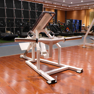 Machine <span class=keywords><strong>de</strong></span> presse d'épaule Viking debout chargée <span class=keywords><strong>de</strong></span> plaque d'équipement d'exercice commercial <span class=keywords><strong>de</strong></span> 2025 Offre Spéciale - Product Image 3