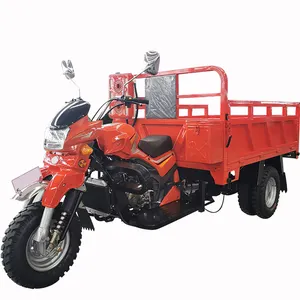 China OEM/ODM fábrica dupla refrigerado a água traseira quatro pneus sobrecarga gasolina motor motocicleta carga motorizada triciclo