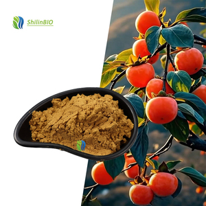 SLBIO fournit <span class=keywords><strong>de</strong></span> la poudre d'extrait <span class=keywords><strong>de</strong></span> feuille <span class=keywords><strong>de</strong></span> kaki <span class=keywords><strong>de</strong></span> qualité supérieure 10:1, qualité alimentaire - Product Image 3