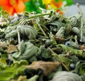 Pasokan pabrik <span class=keywords><strong>Nepeta</strong></span> murni Cataria/<span class=keywords><strong>Catnip</strong></span>/daun Catmint makanan kering untuk makanan kucing dan pengisi mainan - Product Image 3