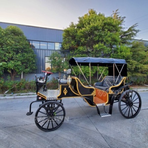 Carroza de Caballos Estilo Boda para Recorridos Turísticos en Parques, Carro Retro con Ruedas para Transporte Especial en Venta - Product Image 2