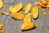 1-100 T/h Op Maat Gemaakte Fruit-En Groenteverwerkingsmachine Voor Mangoconcentraat