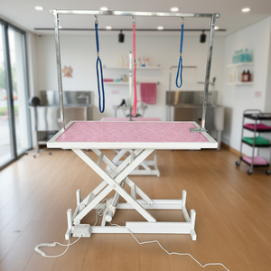 Table de toilettage pour animaux de compagnie pliable en acier inoxydable à hauteur réglable automatique avec levage électrique et alimentation par chargeur – <span class=keywords><strong>Prix</strong></span> usine - Product Image 2
