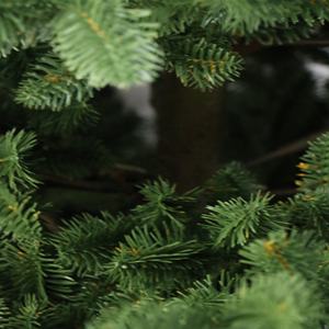 Nouveau Design Nordmann "ultra" Emulational Metal Frame 100% PE Navidad Fir Tree Arbol <span class=keywords><strong>De</strong></span> Navidad - Product Image 4