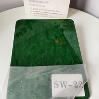 Panneau acrylique décoratif haut de gamme vert émeraude à motif cristal de glace, finition translucide pour aménagements et signalétique de magasins de détail