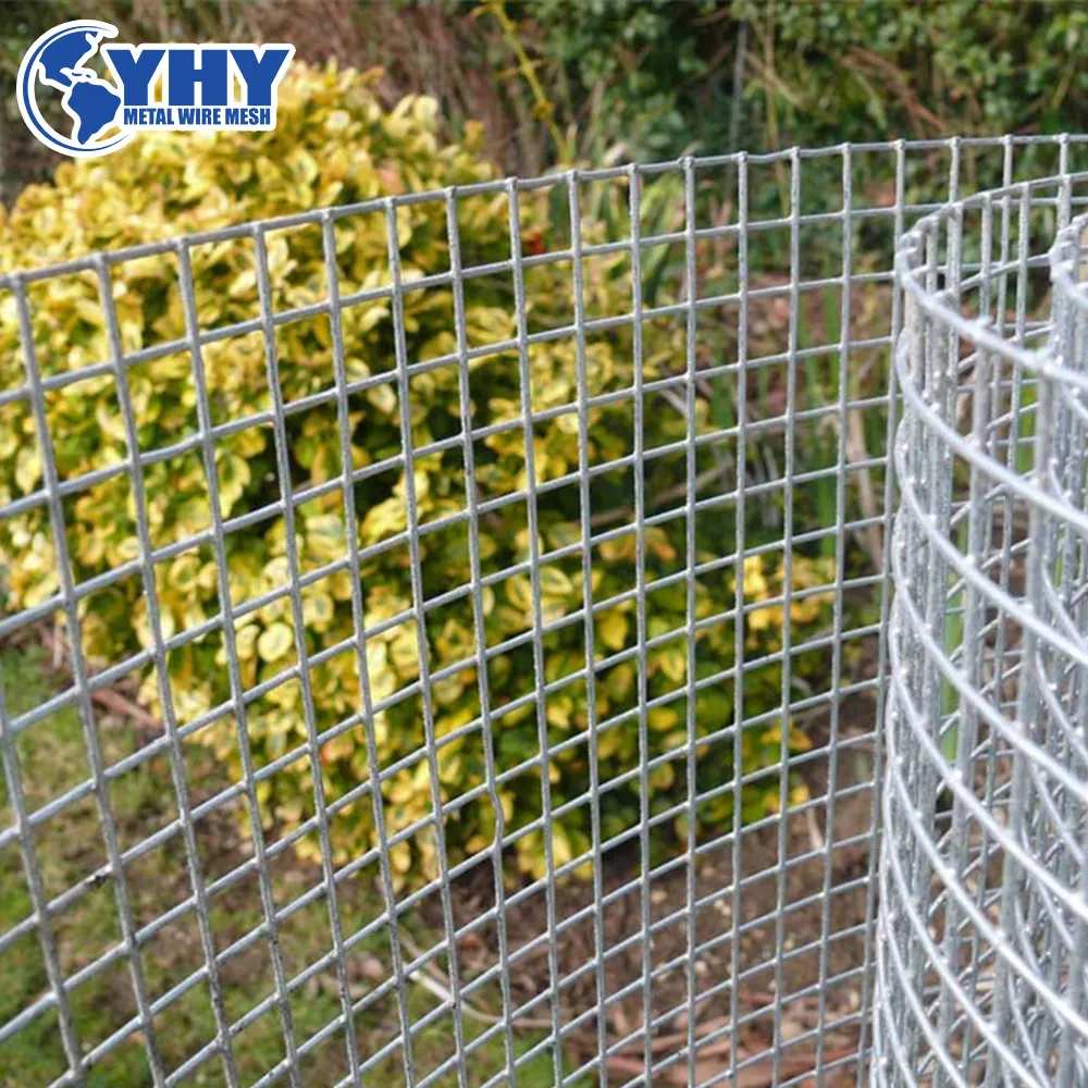 Rusty Resistance Electro Galvanized Welded Wire Mesh Roll in Industry Agriculture Building