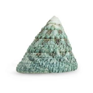 <span class=keywords><strong>2</strong></span>-4cm Green Tower Muschel Schnecke Green Natural Conch Aquarium Landschaft Schalentiere Einsiedler Krabben Muschel Proben Dekor Handwerk - Product Image 4