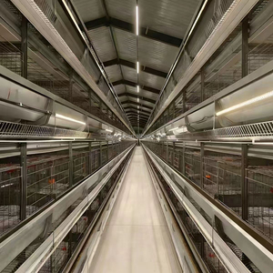 Système <span class=keywords><strong>de</strong></span> cages automatiques en H pour poules pondeuses, en acier galvanisé, élevage haute densité, optimisation <span class=keywords><strong>de</strong></span> l'espace, garantie 1 an - Product Image 3