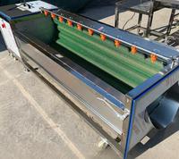 Industriële milieuvriendelijke 650W motor borstelrol wasmachine voor het reinigen van fruit en groenten in de voedingsmiddelen- en drankenindustrie