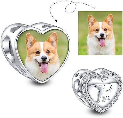 Charme de photo de coeur de chien