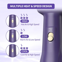 Outils de coiffure chauds une étape sèche-cheveux brosse 3 en 1 volumateur brosse à Air chaud secadora de cabello