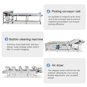Máquina de proceso de polvo de ajo OCEAN, planta de proceso de cáscara de ajo automática, línea de producción de polvo de ajo - Product Image 4