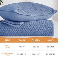 Ensemble de literie pour lit queen-size, couvre-lits légers gris bleuté, réversible, 3 pièces avec 2 taies d'oreiller