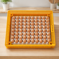 Équipement d'élevage pour l'agriculture et la volaille : Panier d'incubation jaune intégré pour poulets, canards, oies, pigeons, cailles