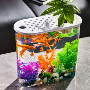 Acquario Ovale in Plastica Trasparente Rinforzata, Piccolo Acquario da Tavolo per <span class=keywords><strong>Tartarughe</strong></span> con Micro Paesaggio, Acquario Domestico - Product Image 3