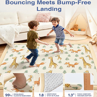 Home Textile Thickened Soft Coral Velvet Eco Friendly Cushioned Non-Slip Backing Low Pile Carpet for Living Room